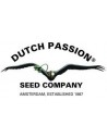 Dutch Passion