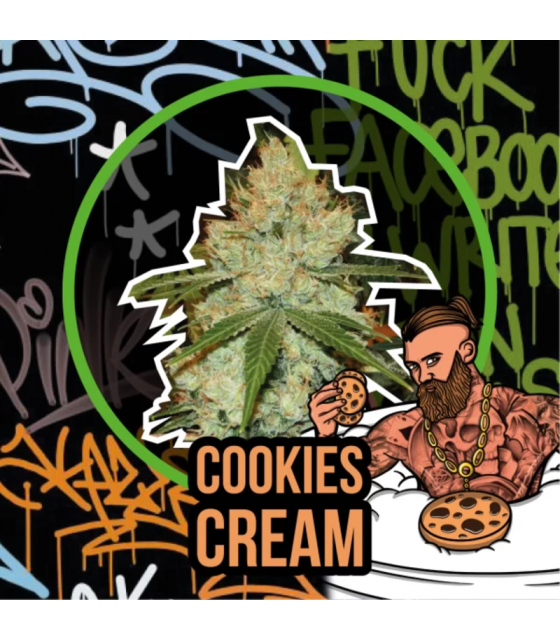 DELIRIUM SEEDS COOKIES CREAM FAST 1UD