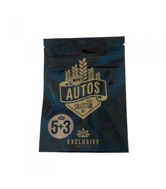 EXCLUSIVE SEEDS BILBERRY AUTO 5+3UDS