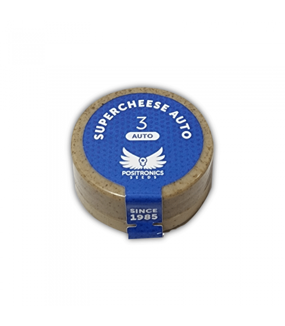 positronics super cheese auto 3uds semillas automáticas con sabor cheese fuerte y efecto corporal
