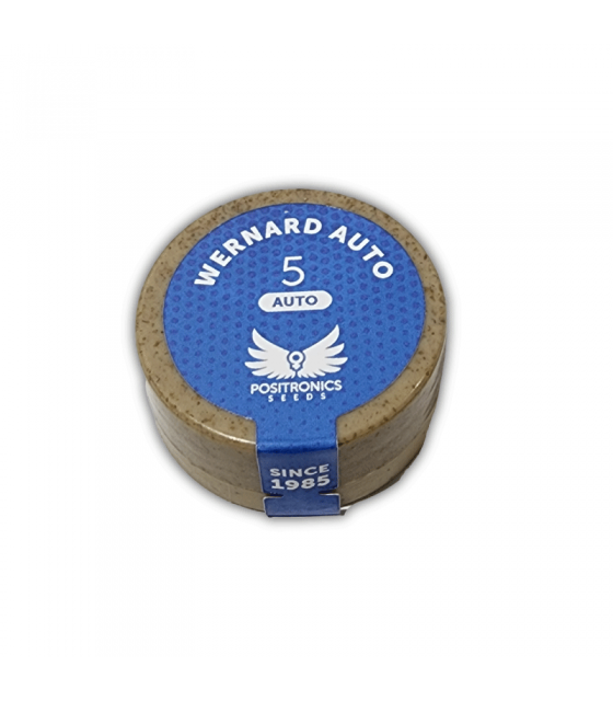 positronics wernard auto 5uds semillas automáticas sabor floral skunk