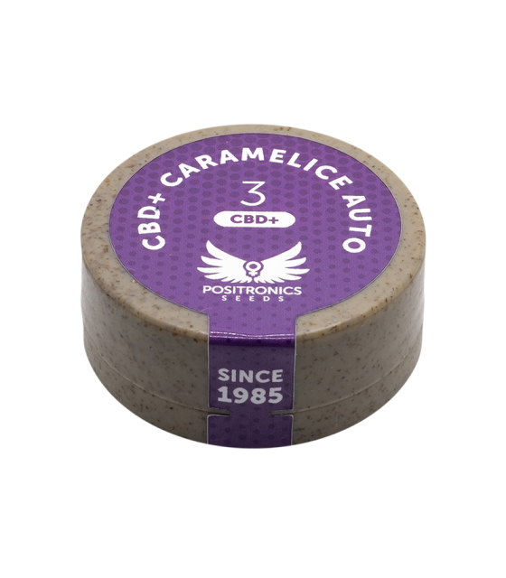positronics cbd caramelice auto 3uds semillas automáticas cbd alto sabor cremoso.