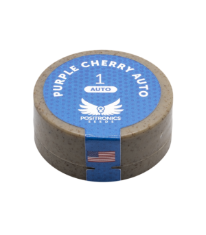 positronics purple cherry auto 1ud semilla automática sabor cherry frutal