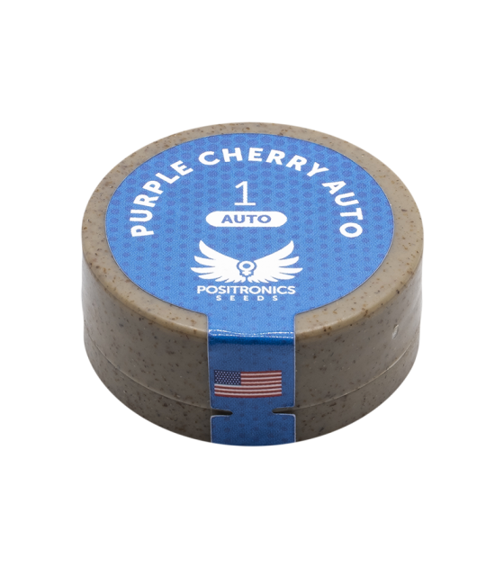 positronics purple cherry auto 1ud semilla automática sabor cherry frutal