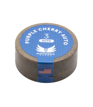 positronics purple cherry auto 3uds semillas automáticas sabor cherry y efecto corporal