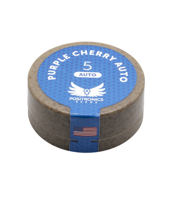 positronics purple cherry auto 5uds semillas automáticas sabor cherry y tonos morados