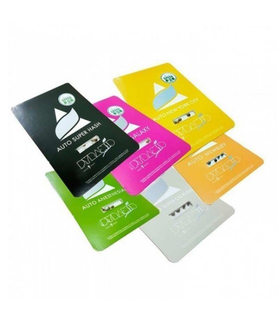 pyramid seeds wembley auto 3uds semillas automáticas dulces con efecto equilibrado