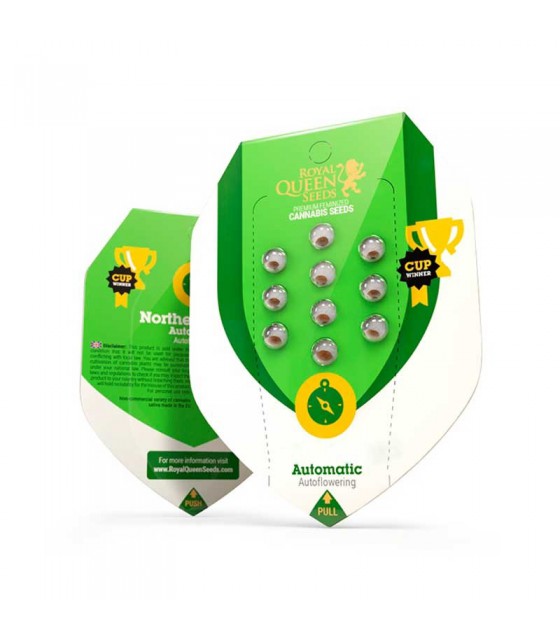 royal kush auto 3uds semillas automáticas kush con sabor terroso y efecto relajante