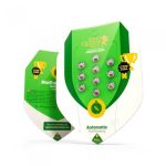 royal bluematic auto 1ud semilla automática con sabor a arándanos y efecto suave