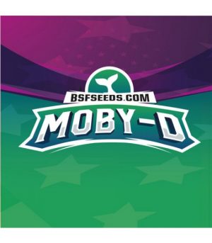 MOBY-D 2 UDS BSF SEEDS