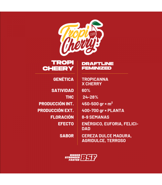 TROPI CHERRY 2UDS BSF SEEDS - Imagen 2