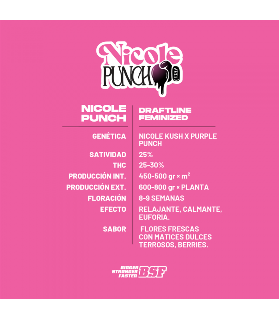 NICOLE PUNCH 4UDS BSF SEEDS - Imagen 2