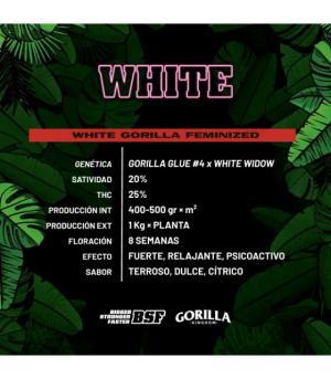 WHITE GORILLA GK 2UDS BSF SEEDS