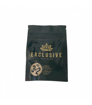 EXCLUSIVE SEEDS OXUS 3+2UDS