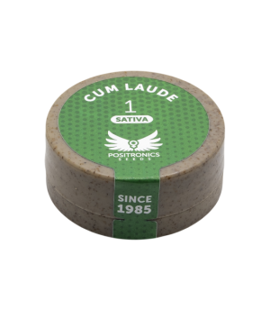 POSITRONICS CUM LAUDE 1UD