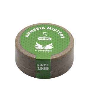 POSITRONICS AMNESIA MISTERY 5UDS
