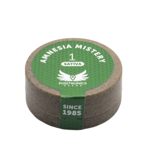POSITRONICS AMNESIA MISTERY 1UD