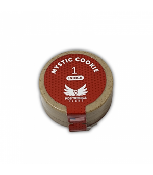 POSITRONICS MYSTIC COOKIE 1UD