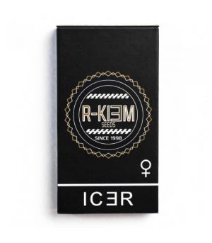 RKIEM SEEDS ICER 5UDS