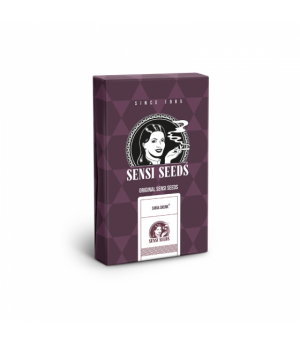 SENSI SEEDS SHIVA SKUNK 3UDS