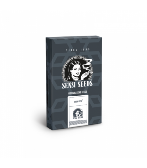 SENSI SEEDS HINDU KUSH 3UDS