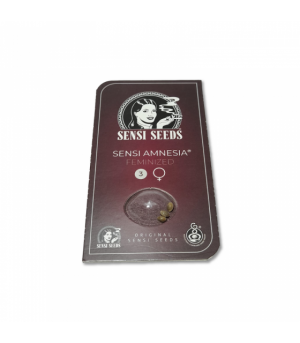 SENSI SEEDS SENSI AMNESIA FEM 3UDS