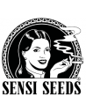 Sensi Seeds